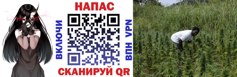 Каннабис OG Kush  купить наркоту  ОМГ ОМГ как зайти  Пучеж 